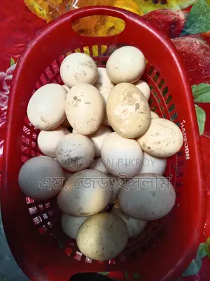 চিনা হাসের ডিম