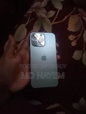 Apple iPhone 13 Pro (ব্যবহৃত)
