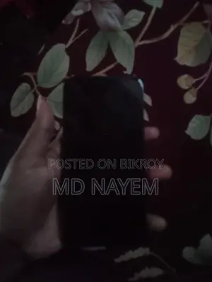 Apple iPhone 13 Pro (ব্যবহৃত)