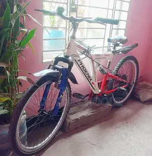 Bicycle For Sale