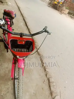 Girls' Bicycle