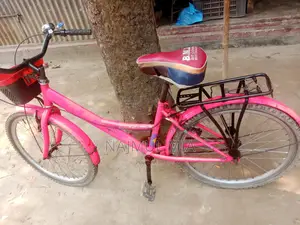 Girls' Bicycle