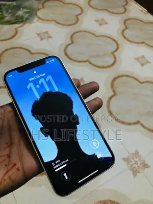 Apple iPhone 12 (Used)