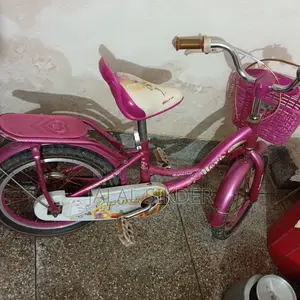 Girls' Bicycle for up to 12 years