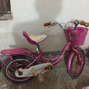 Girls' Bicycle for up to 12 years
