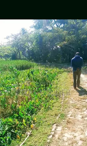১ দাগে ৪ বিঘা(১০০ শতক×৪)"নিষ্কণ্টক" জমি বিক্রি হবে।