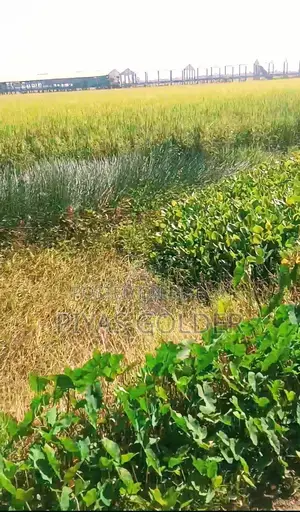 ১ দাগে ৪ বিঘা(১০০ শতক×৪)"নিষ্কণ্টক" জমি বিক্রি হবে।