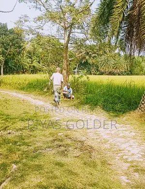 ১ দাগে ৪ বিঘা(১০০ শতক×৪)"নিষ্কণ্টক" জমি বিক্রি হবে।