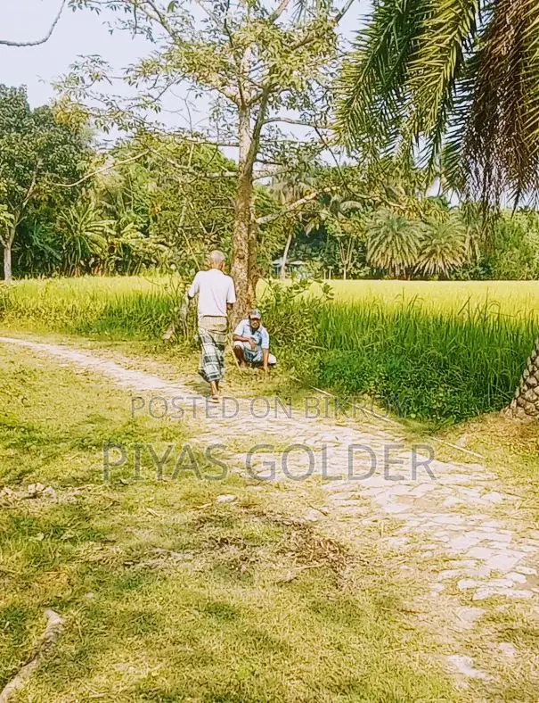 ১ দাগে ৪ বিঘা(১০০ শতক×৪)"নিষ্কণ্টক" জমি বিক্রি হবে।