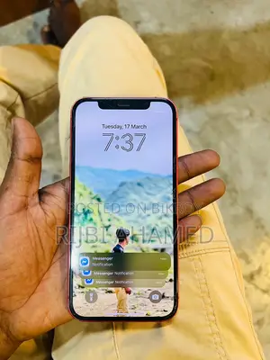Apple iPhone 12 (Used)