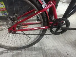 Duranta Bicycle for Sale