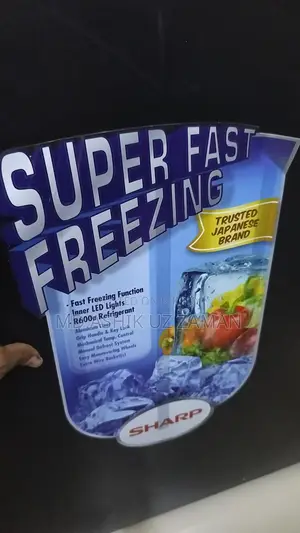 Fridge 4 Month Use (Fresh Condition)