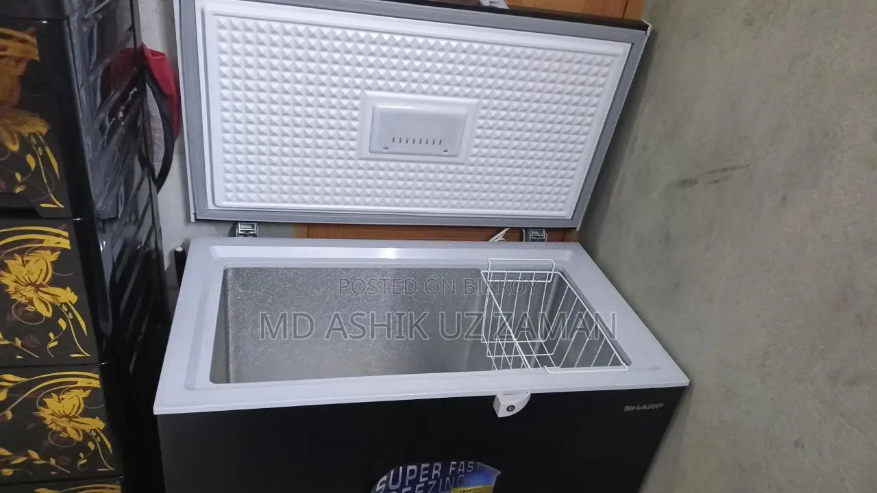 Fridge 4 Month Use (Fresh Condition)