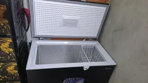 Fridge 4 Month Use (Fresh Condition)