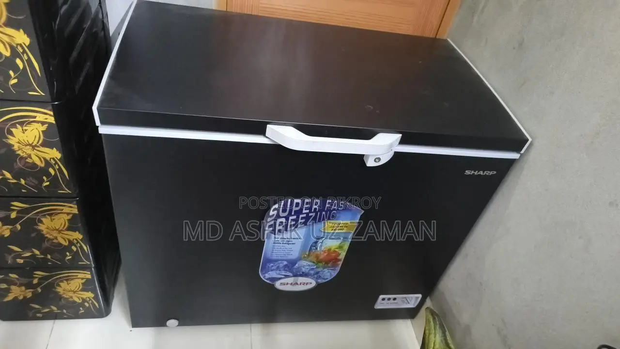 Fridge 4 Month Use (Fresh Condition)