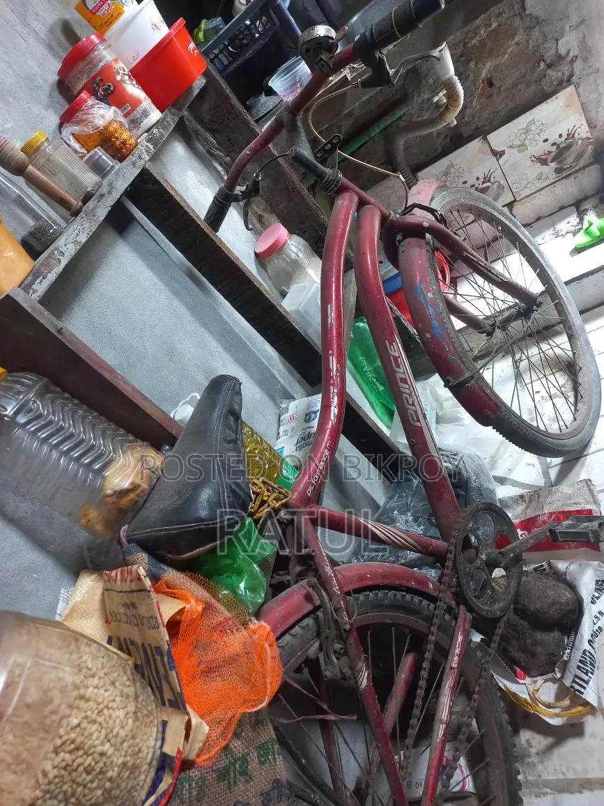 Bicycle for sale