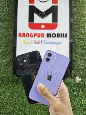 Apple iPhone 12 (Used)