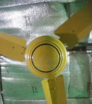 Ceiling Fan ~ সিলিং ফ্যান