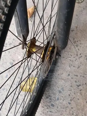 Focus 26 Inch Cycle