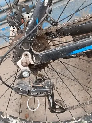 Focus 26 Inch Cycle
