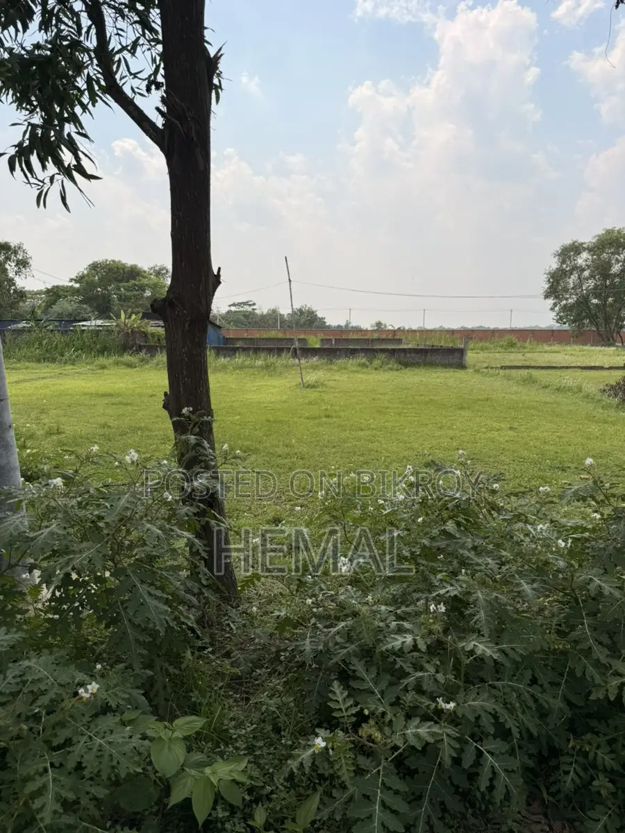 স্বপ্নের ঠিকানায় ৩ কাঠা জমি বিক্রি - পুর্বাচল ৩০০ ফিট এর কাছে