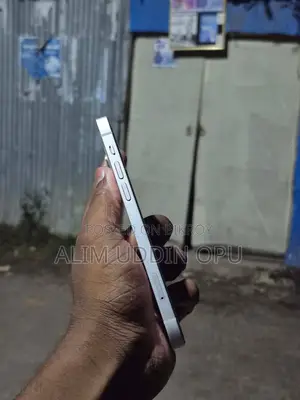 Apple iPhone 12 (Used)