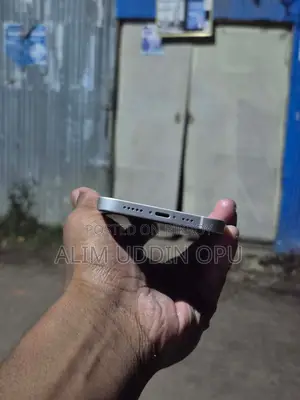Apple iPhone 12 (Used)