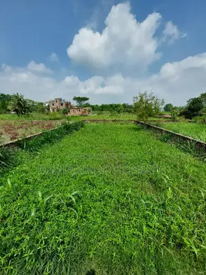 রেডি প্লট বিক্রি হবে।