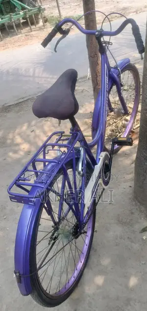 লেডিস বাইসাইকেল