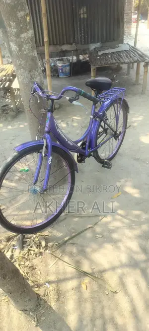 লেডিস বাইসাইকেল