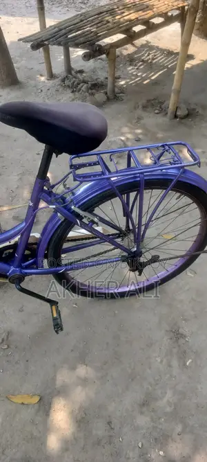 লেডিস বাইসাইকেল