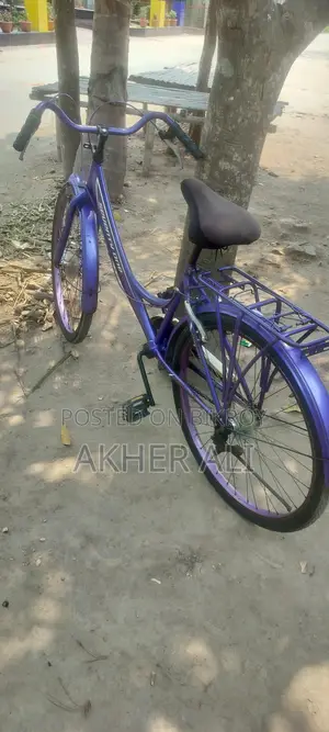 লেডিস বাইসাইকেল