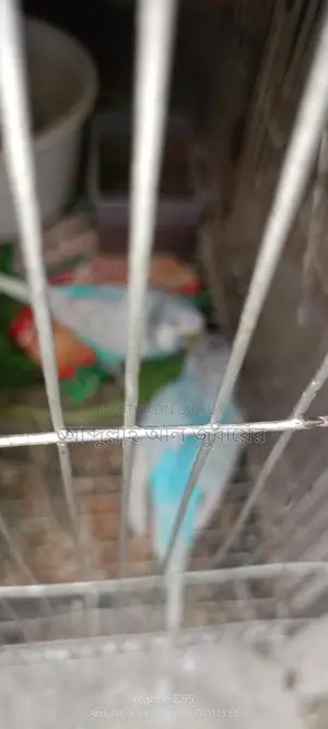বাজরিগর