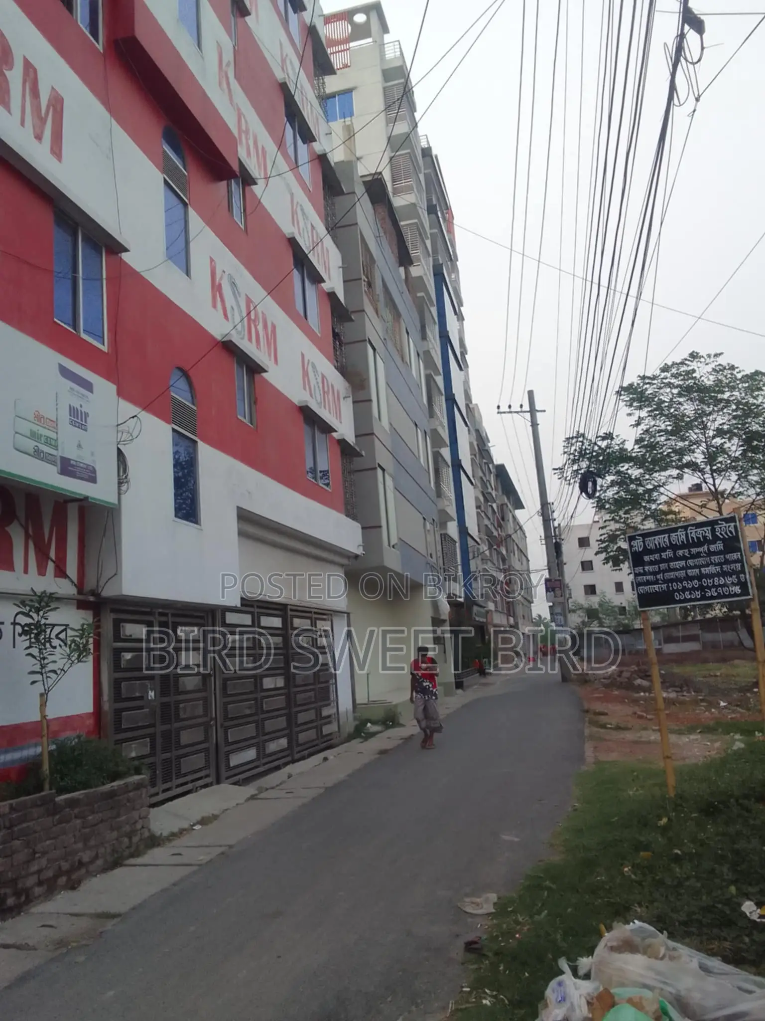 Apartment Rental Advertisement