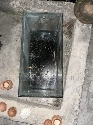 Aquarium