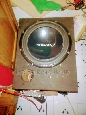 Pioneer 12-inch Woofer