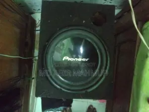 Pioneer 12-inch Woofer