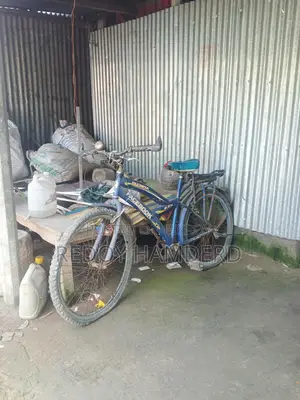 Bicycle for Sale