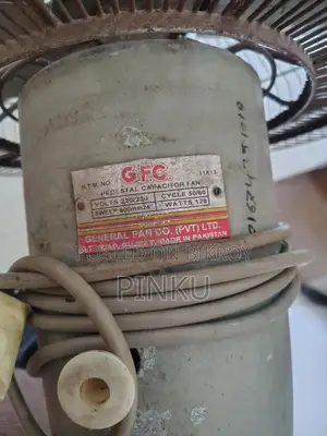 Original Pakistan GFC Stand Fan