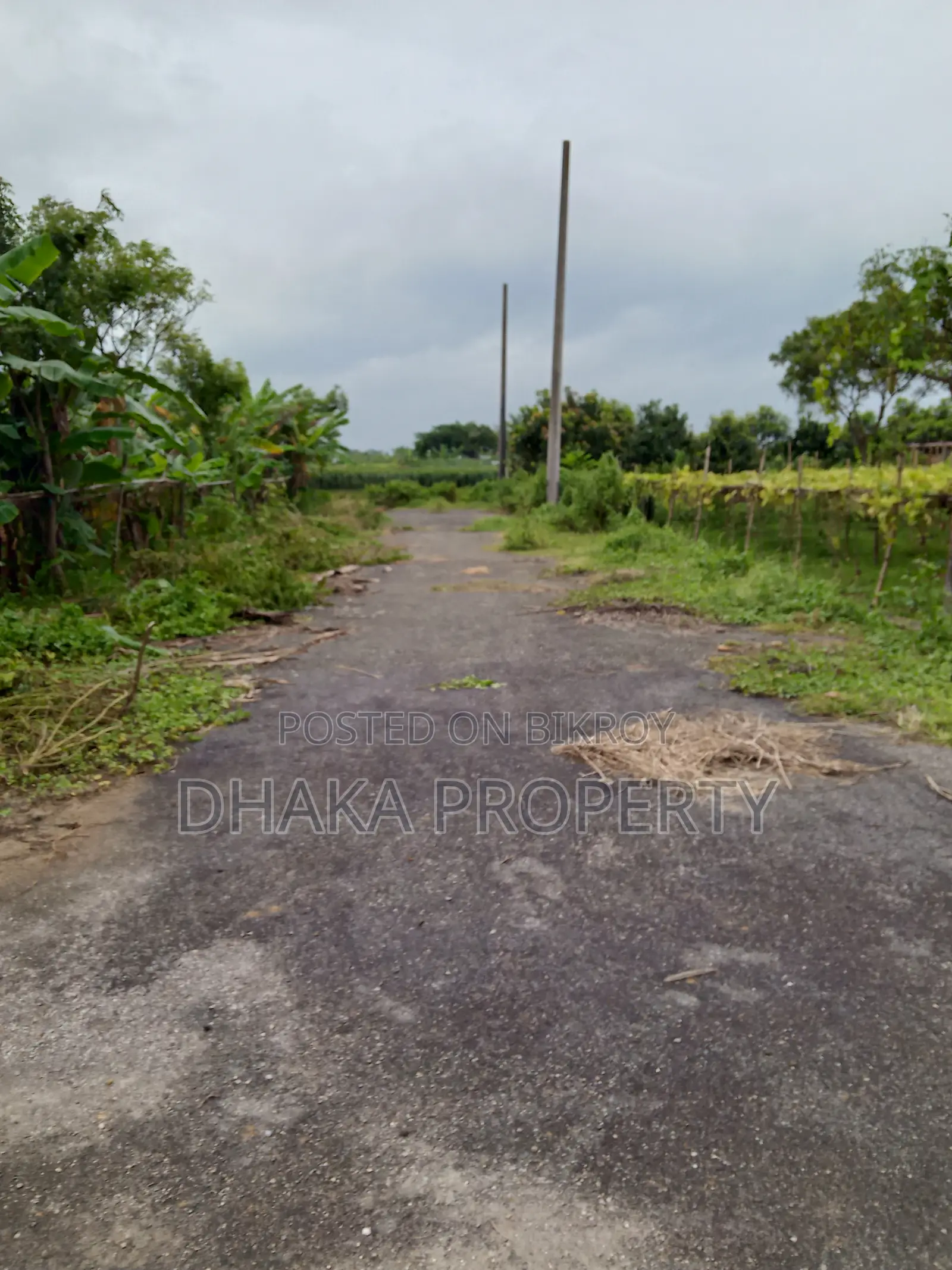 Front Opening 5 Katha North at Sector-29