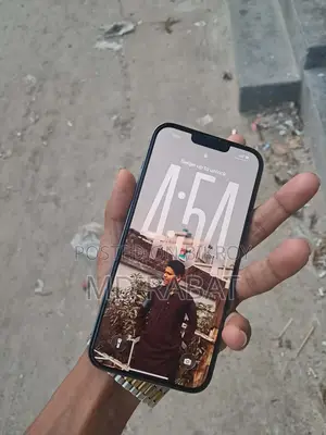 Apple iPhone 13 Pro Max (Used)