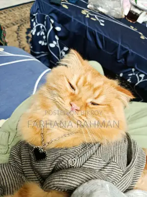 Persian for Sell
