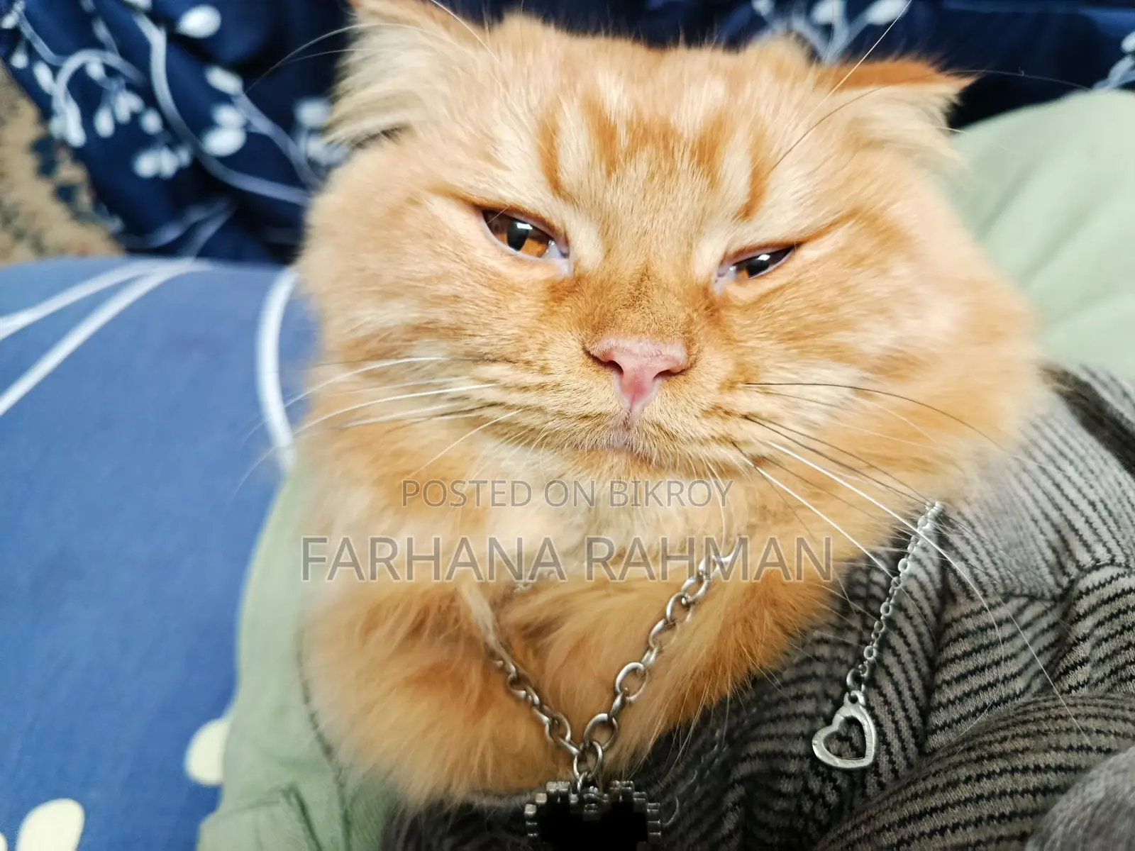 Persian for Sell