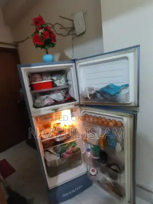 Non-Frost Refrigerator for Sale