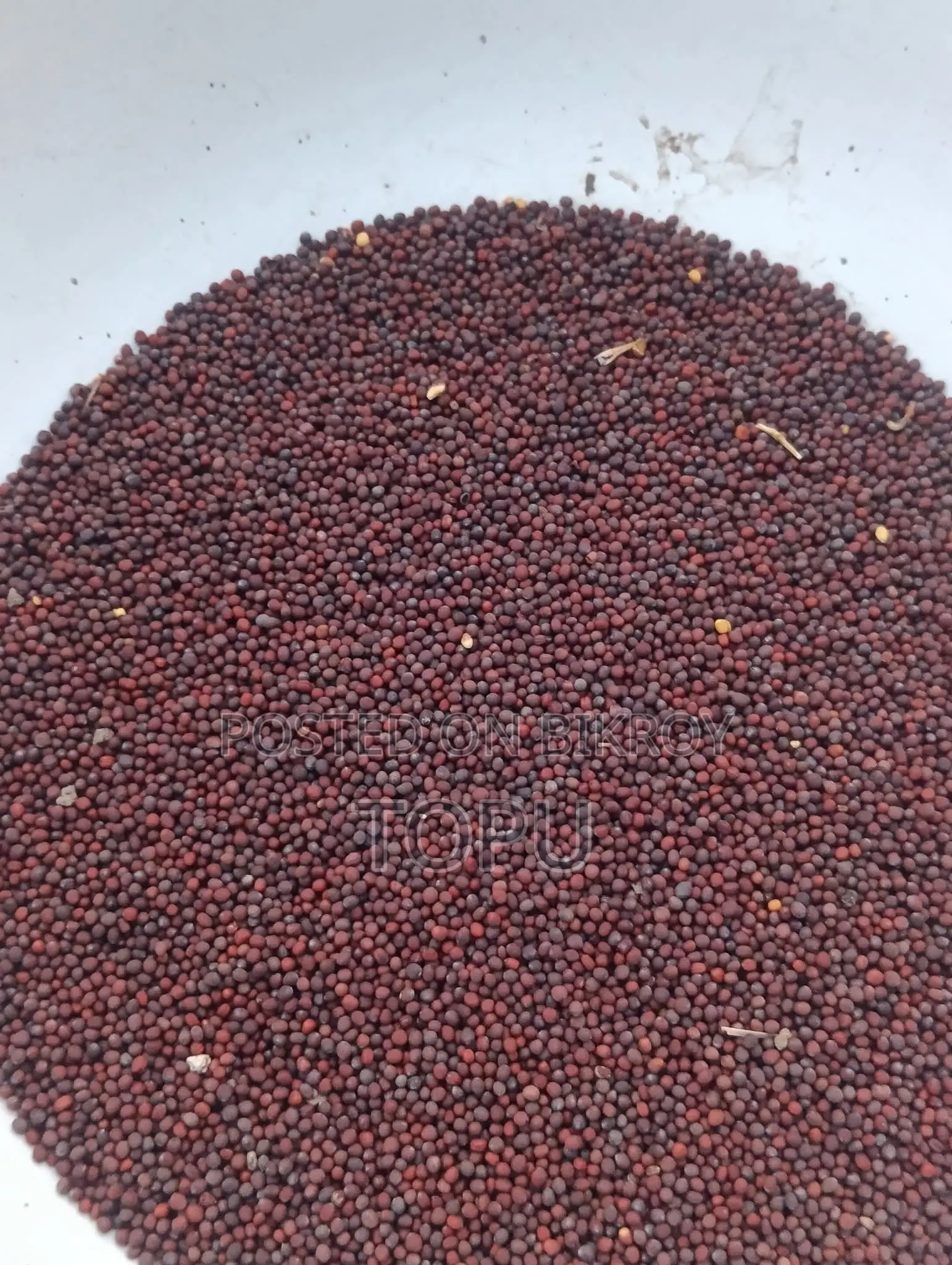 Workers Needed for Mustard Oil Mill