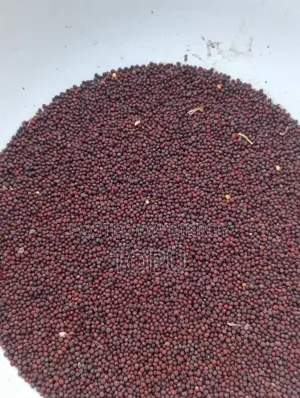 Workers Needed for Mustard Oil Mill