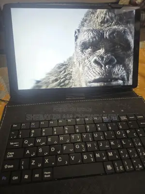 Lenovo M10 TB-X306X (Used)