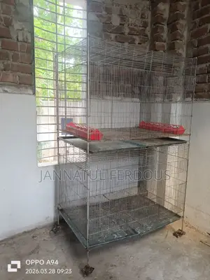 বড় খাচা বিক্রয় হবে
