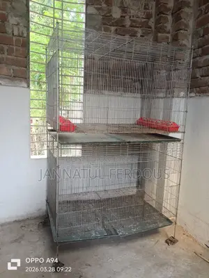 বড় খাচা বিক্রয় হবে