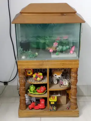 Used Aquarium for Sale